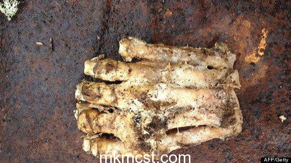bigfoot foot